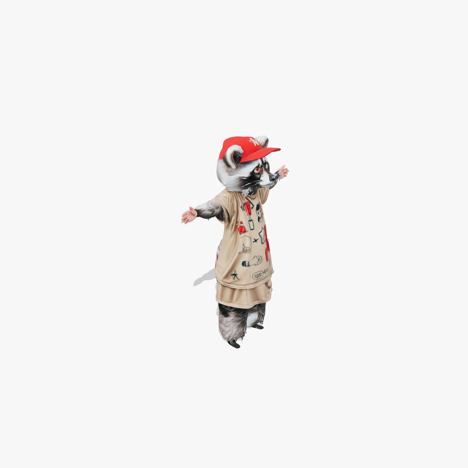 Cartoon Raccoon Character model pack